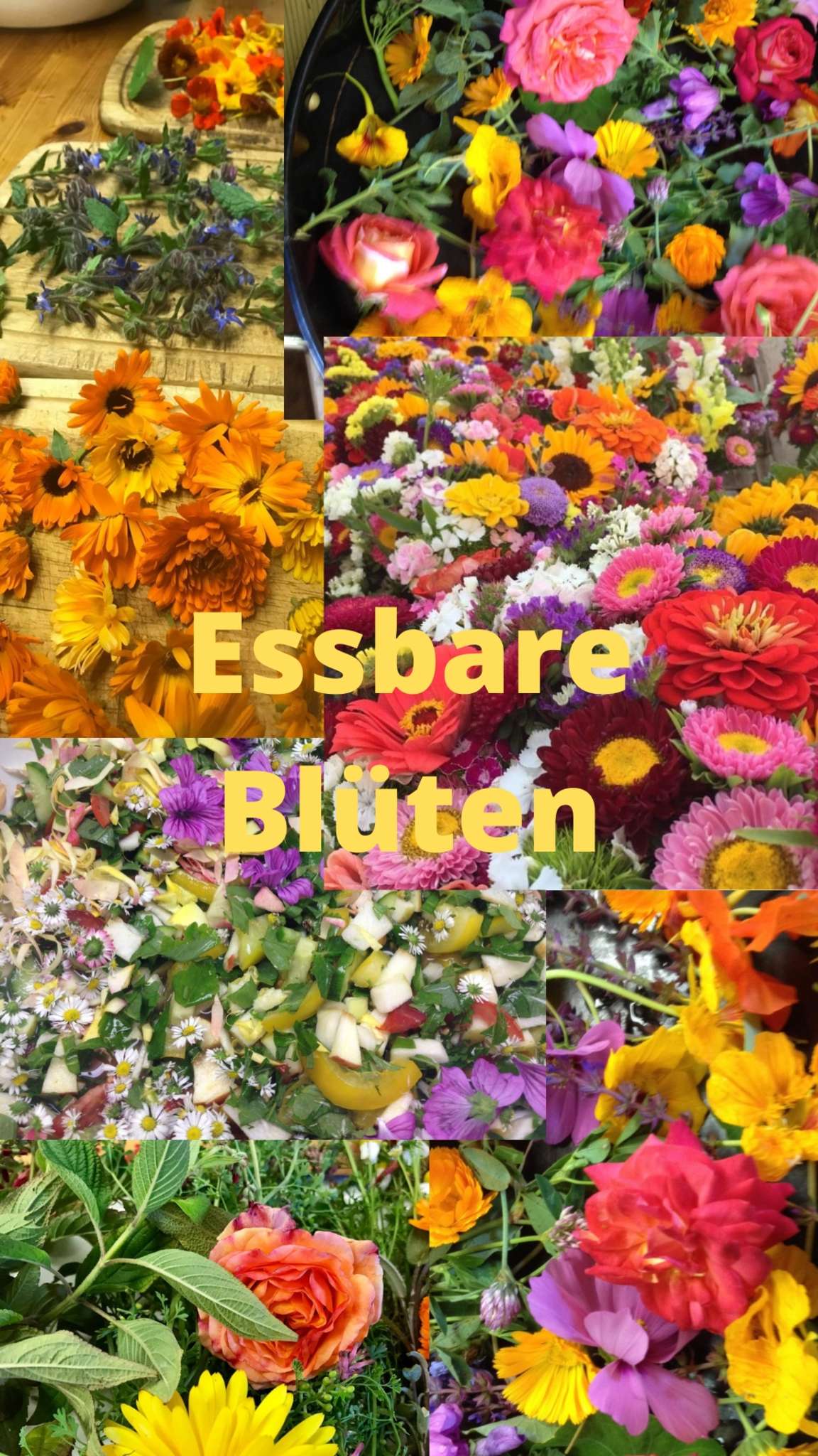 Essig mit Schnittlauchblüten